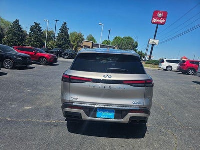 2023 INFINITI QX60 LUXE